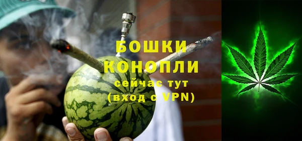 ПСИЛОЦИБИНОВЫЕ ГРИБЫ Дмитров