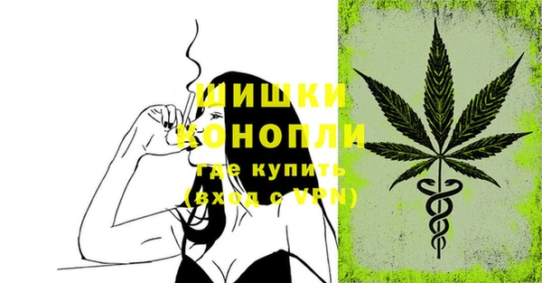 ПСИЛОЦИБИНОВЫЕ ГРИБЫ Дмитров