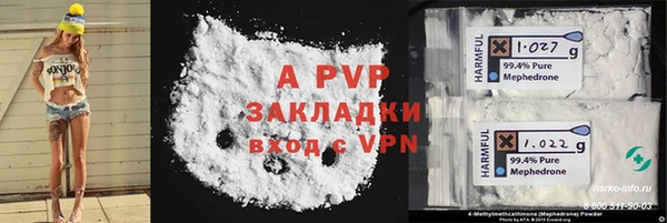 ПСИЛОЦИБИНОВЫЕ ГРИБЫ Дмитров